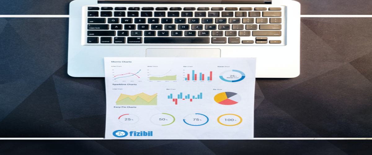 ERP Verimlilik Analizi Görseli